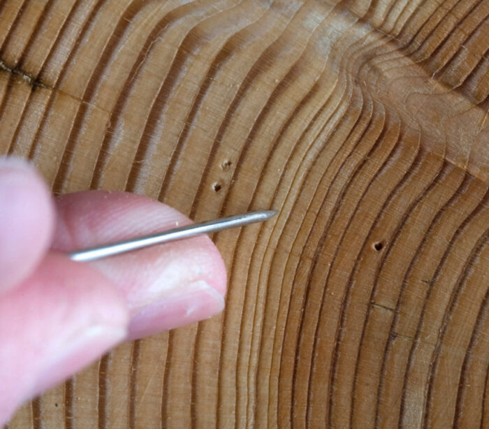 Resistograph R650-EA (Standard, Temperate Trees & Timber Inspection) - Image 17